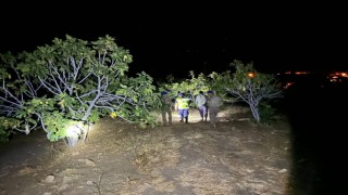 Jandarmadan ‘incir hırsızı' nöbeti