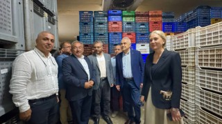 Ak Partili Milletvekilleri Nazilli’de İncir Üreticileriyle Buluştu 