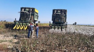 Aydın’da pamuk toplama fiyatı belirlendi