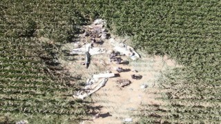 Düşen eğitim uçağının enkazı kaldırıldı