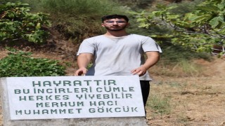 Mezar taşı değil, ‘herkes yesin' uyarısı