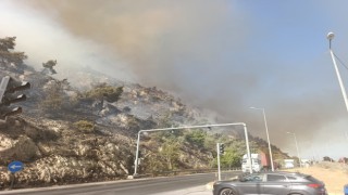 Söke'de makilik alan yangını, söndürme çalışmaları sürüyor