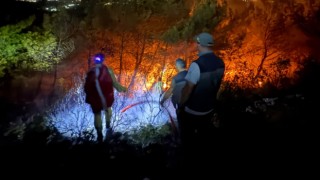 Söke'deki orman yangınının yayılması durduruldu