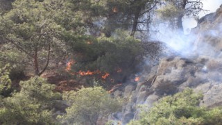 Söke'deki yangın kontrol altına alındı