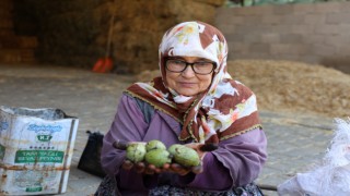 Hasadı yapılan cevizler satışa hazırlanıyor