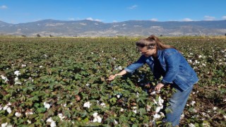 Söke’de 2025 yılı destekleme ürün çalışmaları yapıldı