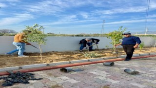 Sultanhisar'da can dostları için yeşil dokunuş