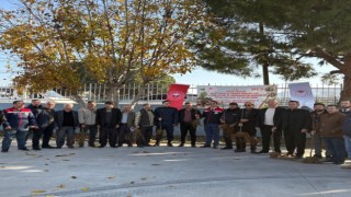 Koçarlı’da üreticiye 4 bin incir fidanı dağıtıldı