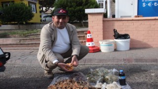 Lezzeti cezbediyor, toplaması dikkat istiyor