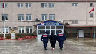 Üç yıl saklandı, kilerde yakalandı