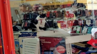 Hayatından endişe edildi, cezaevinde olduğu ortaya çıktı