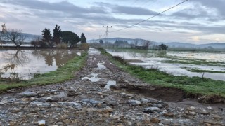 Söke’de aşırı yağışlar sonrası tarım alanlarında hasar tespiti