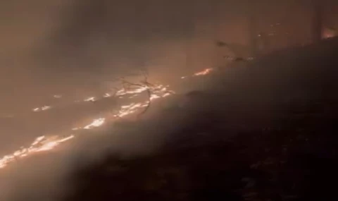 Bozdoğan’da Hızlı Müdahale Orman Yangınını Önledi