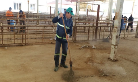 Hayvan Pazarı 7 Ay Sonra Yeniden Hizmete Açılıyor