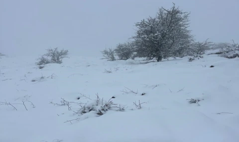 Mart sonunda Karıncalı Dağ'da kar sürprizi