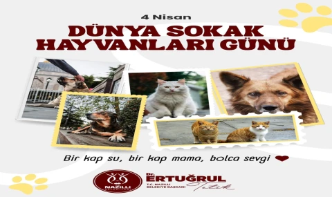 Başkan Tetik’ten 4 Nisan Dünya Sokak Hayvanları Günü’nde Anlamlı Mesaj