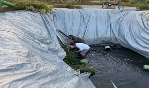 Sultanhisar’da 5 Yavru Köpek Ölümden Döndü: Başkan Yıldırımkaya’dan Duyarlılık Çağrısı