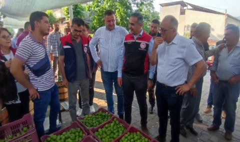 Aydın'da ilek pazarı denetimleri aralıksız sürüyor