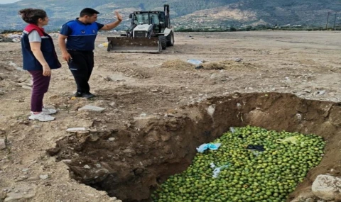 Bozdoğan’da hastalıklı ilekler imha edildi