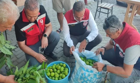 İlek Pazarı’nda sezon hareketliliği yaşanıyor