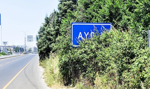 Karayolu üzerindeki Aydın tabelası çalılar arasında kaldı