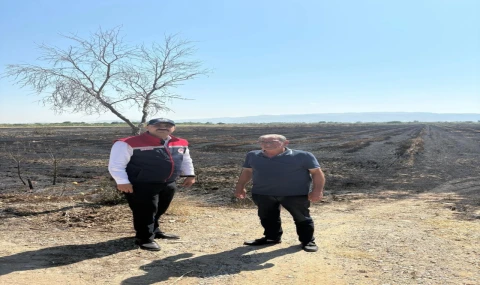 Söke’de yangından zarar gören tarım arazileri incelendi