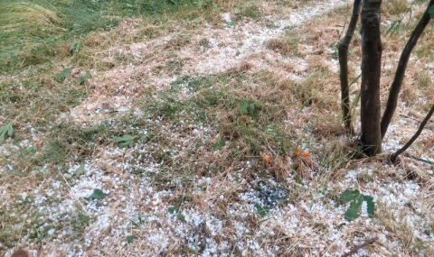 Yarım saatlik dolu yağışı üreticiyi endişelendirdi