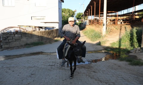 Ayhan amca yokluktan değil, sürücü belgesi olmadığından eşeği ile servis yapıyor