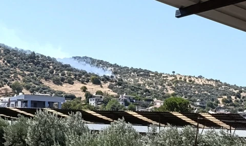 Bozdoğan'daki zirai alan yangını kontrol altına alındı