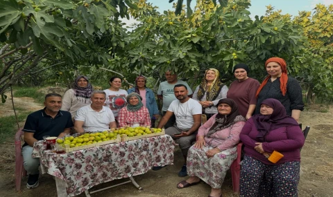 Alişan, Buharkent’in Taze İncirini TRT 1 Ekranlarına Taşıyacak