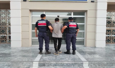 Germencik’te incir hırsızlığına suçüstü