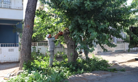 NAZİLLİ’DE SONBAHAR HAZIRLIĞI:  Park ve Sokaklarda Kapsamlı Bakım Seferberliği
