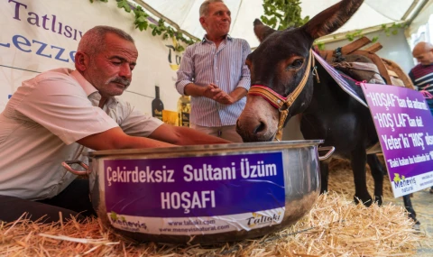 Eşek hoşafa direndi, ortaya renkli görüntüler çıktı