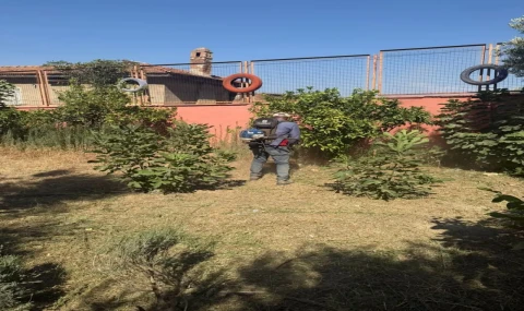 Germencik'te okullar yeni eğitim yılına hazırlanıyor